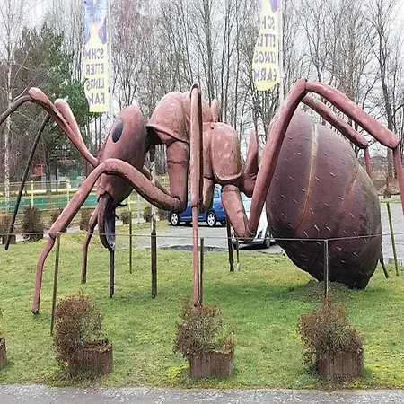 Appartementhaus In טראסנהיידה